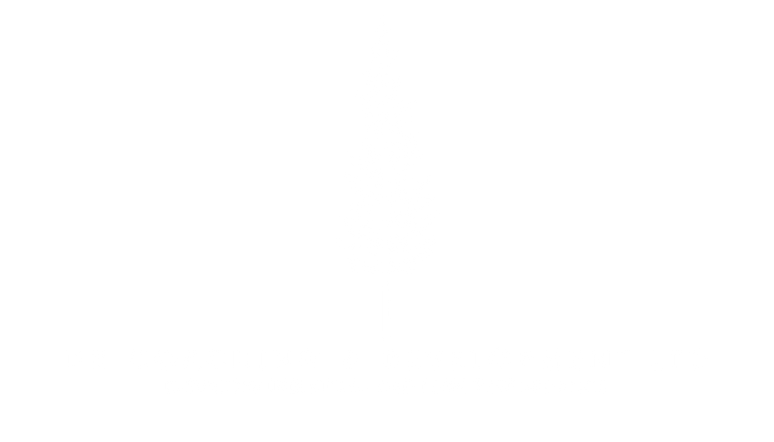 DB Coaching & Development LTD